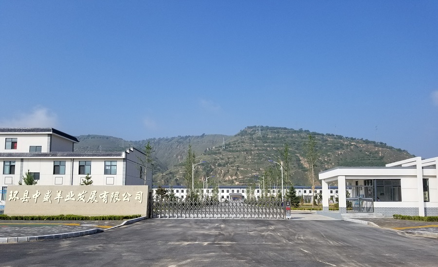 甘肅環(huán)縣中盛羊業(yè)